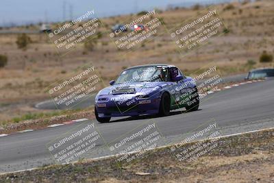 media/May-03-2025-Lucky Dog Racing (Sat) [[206de64b9d]]/Turn 6 (150pm-230pm)/